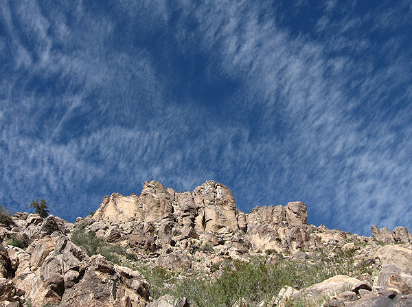 Cique of the Climbables.<br>
Photo by Blitzo.