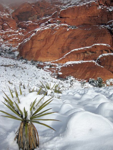 2ND Pullout, Red Rock.<br>
<br>
Note the ice pond in the middle of photo.<br>
<br>
Taken 12/18/08