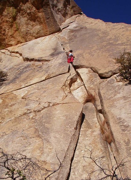 Susan eyeing the thinness ahead.