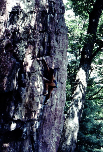 Bob Horan on another ascent of Calipigeonous.