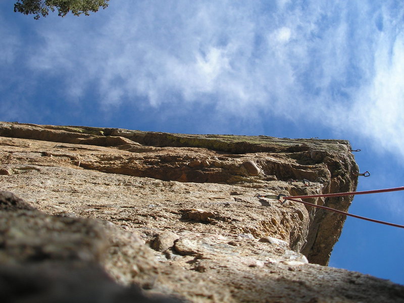 Steep and sweet.