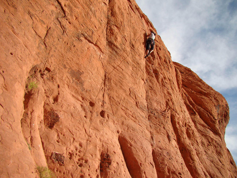 think this is #6 Unnamed (might be Flying Chuckwalla)<br>
Nov 2008