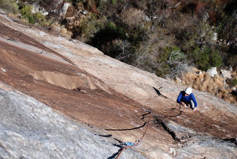 Second pitch up Willy Javalina