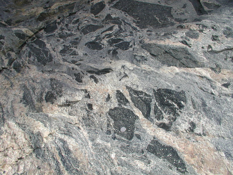 Xenoliths in Clear Creek Canyon, CO. These angular pieces were broken off when hot, molten rock intruded preexisting, crystallized, (black) rock, a process known as brecciated intrusion.  The angularity of the black pieces suggests that the intruding molten rock was not so hot--relative to the melting point of the dark rock-- otherwise the black pieces would have melted or at least become rounded.  Many black chunks in lighter colored granitic rock, for example, chicken heads in Yosemite granodiorite are rounded, indicating that they were melted somewhat by the enclosing magma.