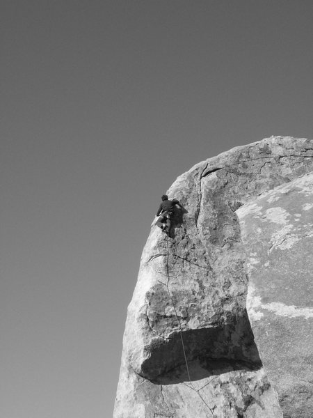 Brent on the SW Corner