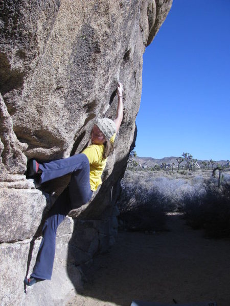 Nicole Grider