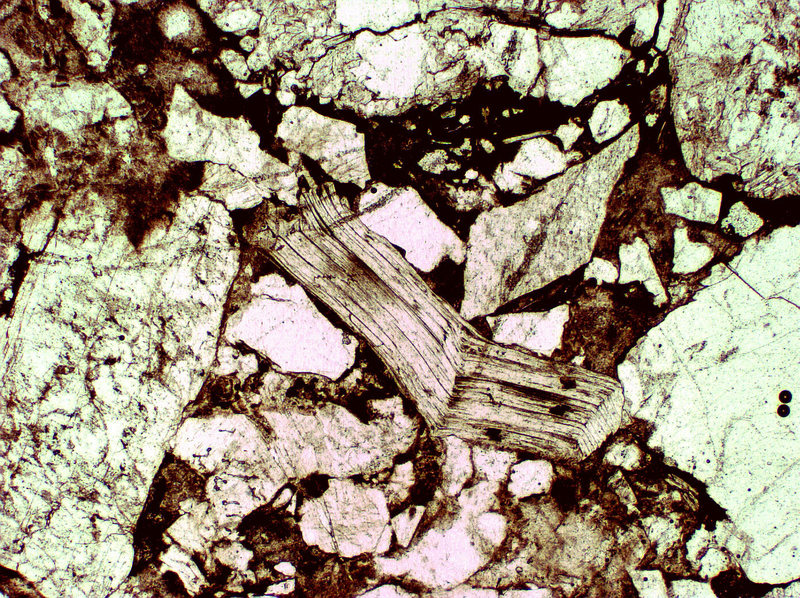 Fountain Formation in El Dorado Canyon, CO. This photo was taken through a polarizing petrographic microscope.  The large bent crystal in the middle is mica, derived from Precambrian rock that cores the Rocky Mountains. The other grains include quartz and feldspar.