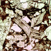 Fountain Formation in El Dorado Canyon, CO. This photo was taken through a polarizing petrographic microscope.  The large bent crystal in the middle is mica, derived from Precambrian rock that cores the Rocky Mountains. The other grains include quartz and feldspar.