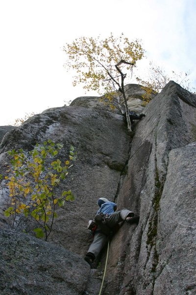 Tim Martel leading up the 3rd pitch jam crack... another climber above on the birch tree...