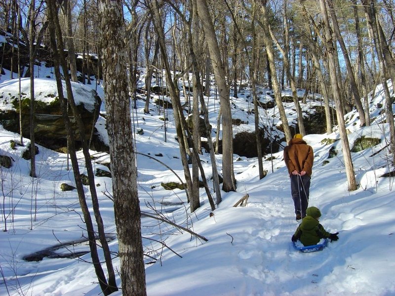 Favorite winter Dodge activity... Feb. 09. Trail downstream of Stephen's Falls.