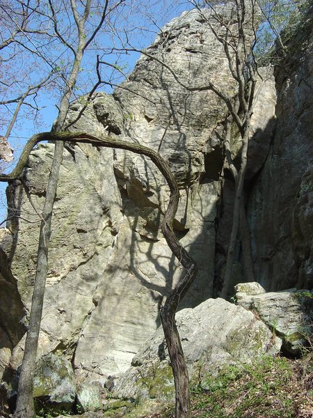 I took these shots of SAM in early 08 to study the route before trying it. Recently found them again and maybe they would help someone work/send. Obviously early in the season without chalk. Great route, try it! You can sling a large rock protrusion safely at the top and rap down to hang draws also. Pic 1 of 4.