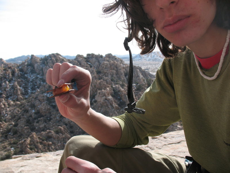 celebratory snack at the top. Fruit leathers and sharkies. Yum!