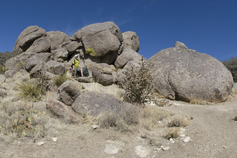 Upper cluster viewed from the north side of the warmup boulders. The Manatee is the crazy looking blobby formation behind Dan, with the patch of green lichen matching his shirt. The big, low boulder further right in the foreground has some fun slab problems on it.