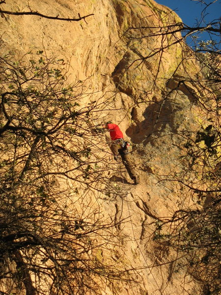 About 1/3 of the way up.