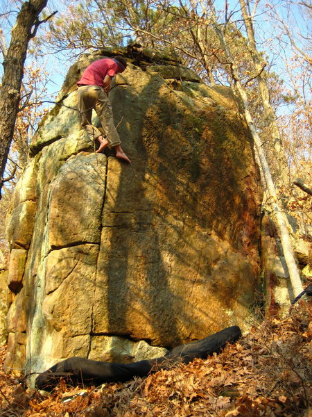 AJ brushing, at the top of the line