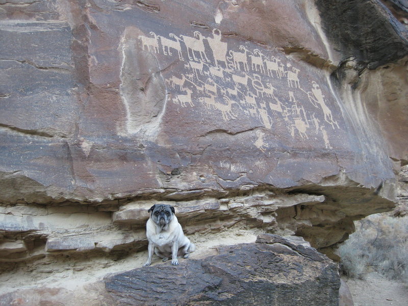 Karma posing in front of one of the many petroglyph panels.