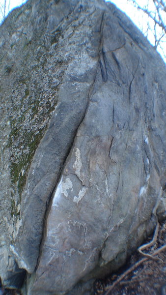 Moat Flake
