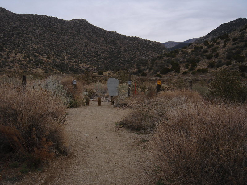 Visual Guide. After going straight on the trail you'll see this sign. Pass through and keep heading east