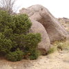 The Particularly Nice One Boulder. Personally I think the tree is the reason the Boulder is named such