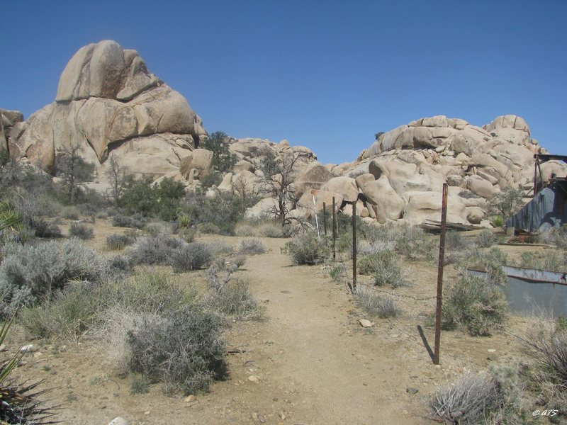 Flexible Rock near the stamp mill