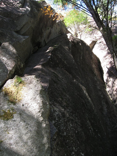 The corner of Plum Pudding.