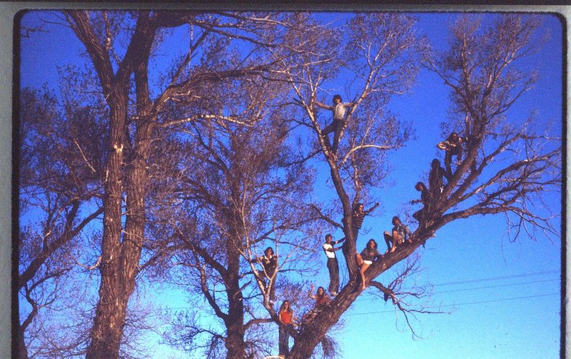 Early Gunnison Crazies (same day as pyramid above) who would climb anything.