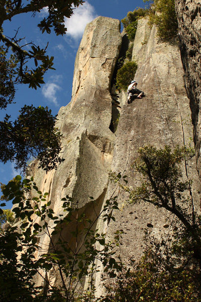 Sayonara climbs the thinning hand-crack running above the tree on the far right side of the photo.