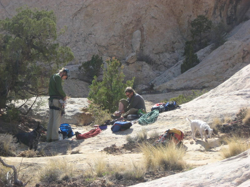 After the climb.L to R dog Dotty, Steve, Patrick, dog Nettle.The other Jack Russell was off chasing coyote's and mountain lions.
