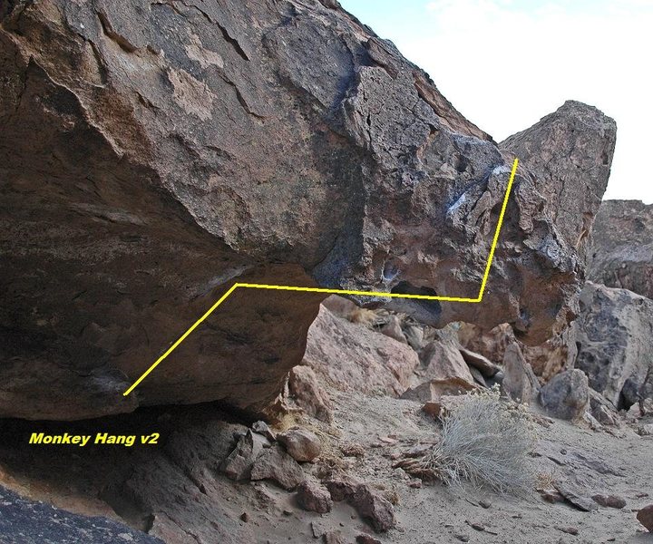 'Monkey Hang' v2