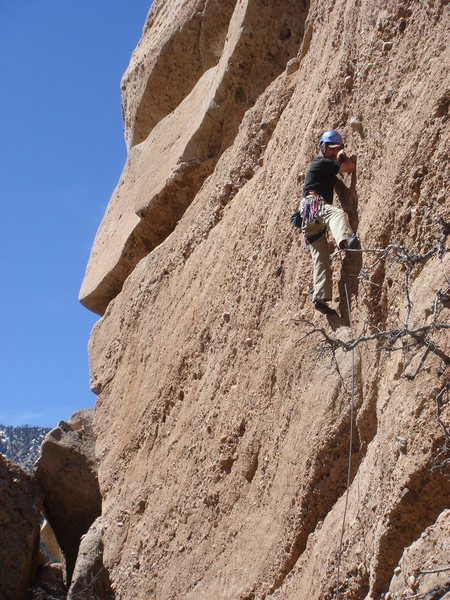 Jerry Miller leading Bronco Billy.