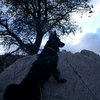 Lucy guards against the savage Cochise Wilderness