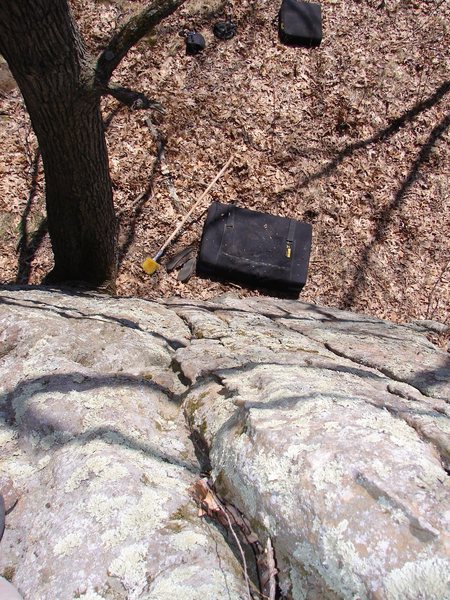 Oak Tree Groove.