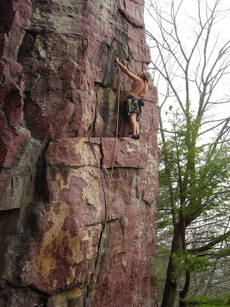 Steve Z onsighting Callipigeanous. April 09.