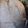 Peppertree Boulder Left Topo