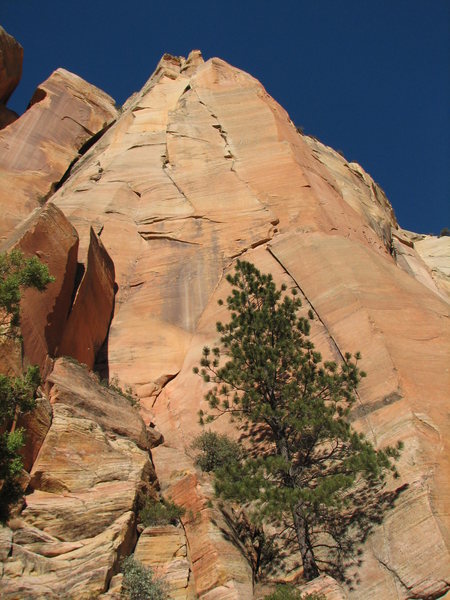Looking up from our plush bivy for 100 at the beautiful headwall. Above, lies a 300ft handcrack.