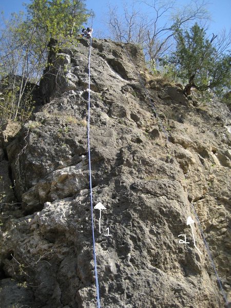 1 - Kippered Devi 5.7 with 2 permanent top rope anchor points as protection<br>
2 - Nanda Herring 5.6 also has 2 permanent top rope anchor points as protection<br>
Belay location at bottom is often times muddy so throw in a tarp if you have one.  You can sometimes walk along the river to access the base, but don't count on it if the water is high and be prepared to belay from the top to get your partner out!<br>
   