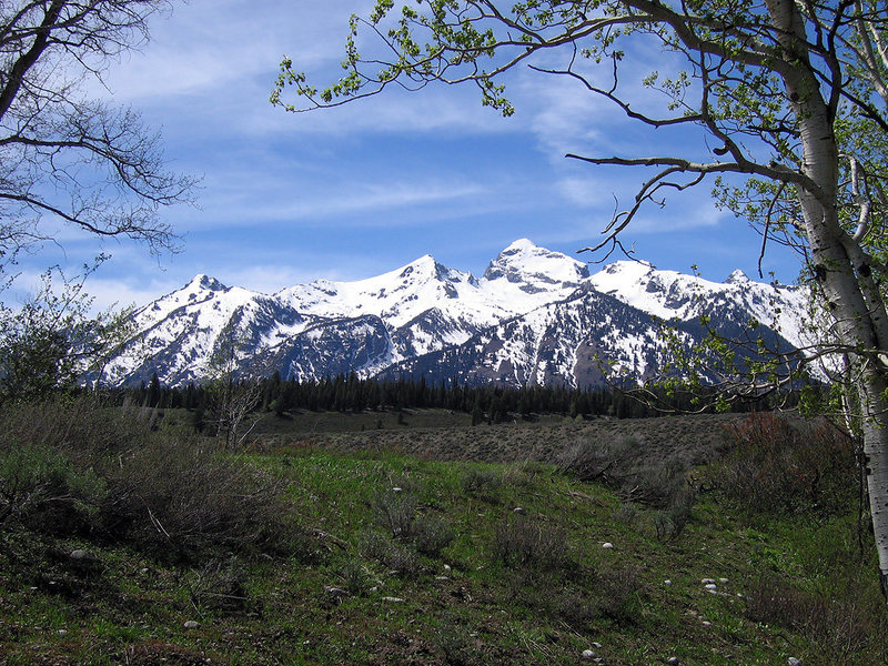 L to R: Albright Pk, Static Pk, Buck Mt, 10696, tip of Wister.