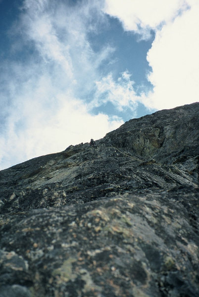 Fern leading on Raised By Bears during the first ascent. The solid but licheny rock is pretty characteristic of the route.