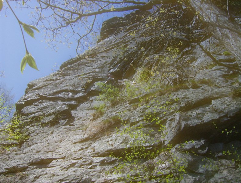 In this photo: pitch 1 of Osprey. Climber is negotiating the first indent/roof (crux). Set your first belay on the ledge above this spot.