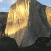 A nice view of El Capitan in the late day sun, as seen from the third pitch of Central Pillar of Frenzy on Middle Cathedral Rock. We had the route all to ourselves on this peaceful autumn day in the Valley - Yosemite National Park 
