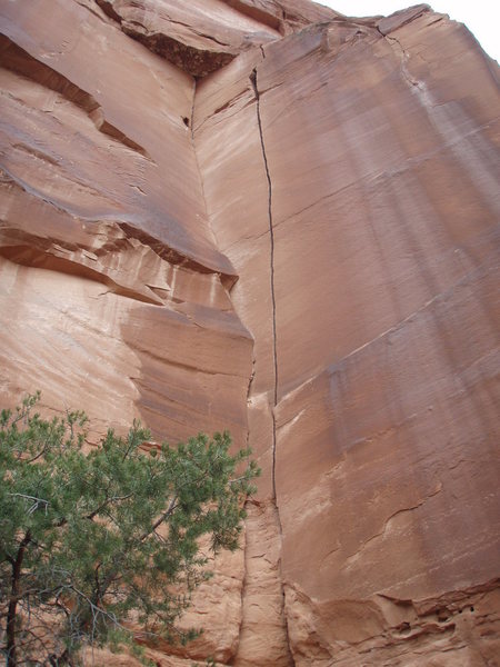 From the bottom of Willy's Hand Jive, Escalante Canyon.