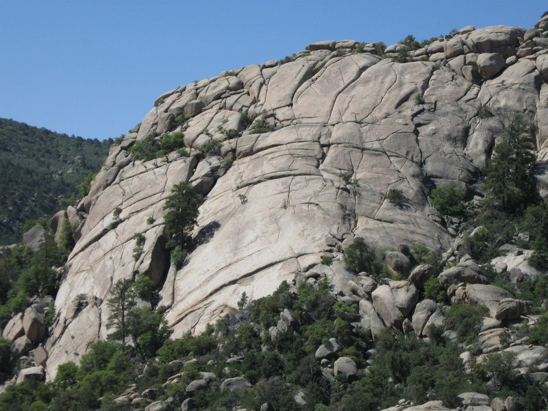 Waves of Rock as seen from Lizard Head