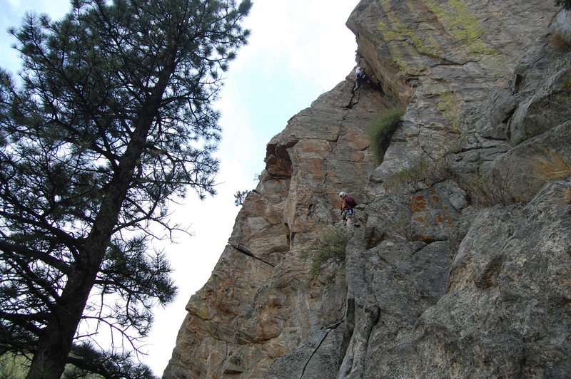 Matt Bolt on a potential first ascent, belayed and seconded by Sean Wolf. <br>
<br>
This gives a little perspective on the angle. The tree in this photo actually grows at an angle. The photo is upright, just look at the belayer. <br>
<br>
Photo by Mike Johnson