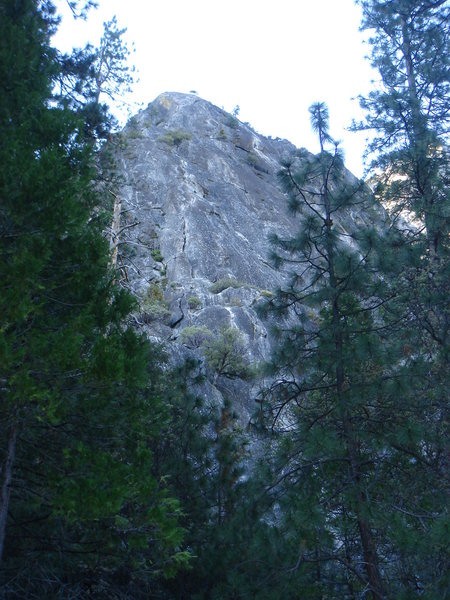 Manure Pile Buttress with all 6 pitches of After Six visible in the center of the pic. (P1 and After Seven mostly obscurred by the trees)