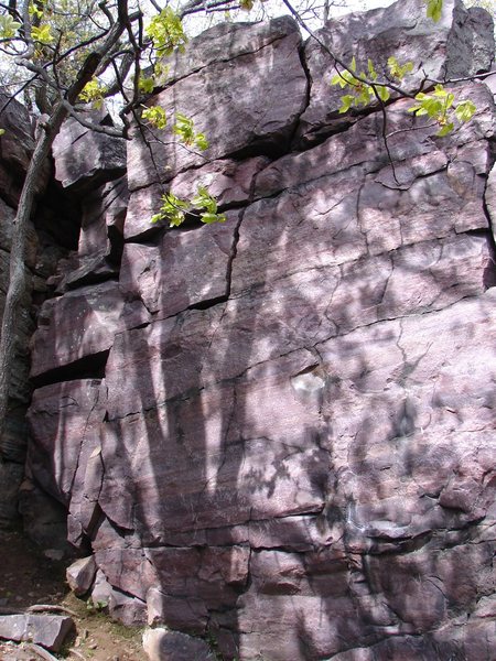 Climb up into hand crack.