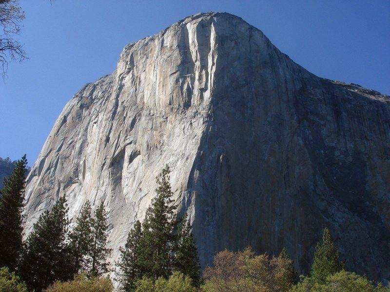 Day 4 - El Capitan from the meadow, Salathe Wall in the afternoon sun.
