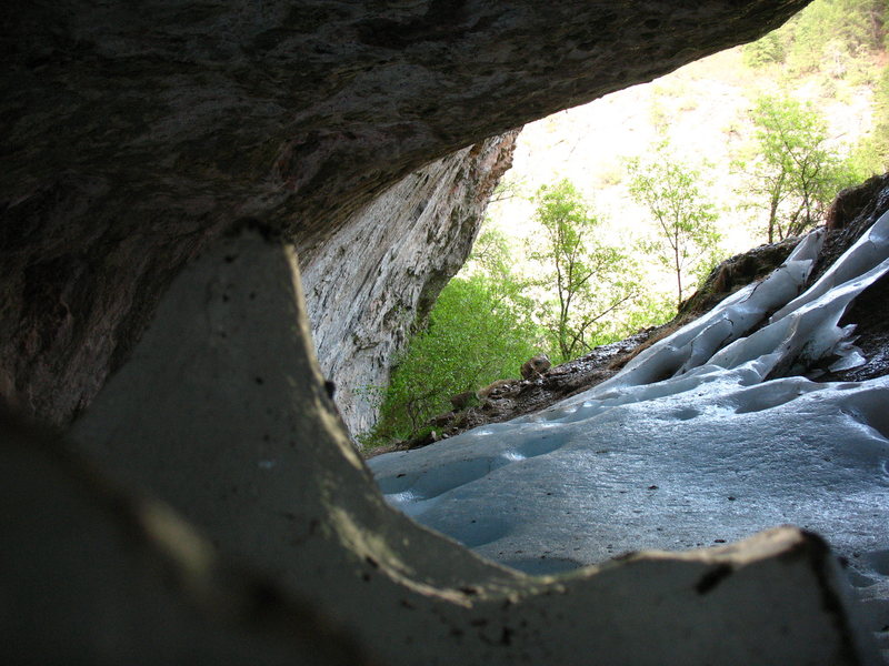 Ice in a cave near Feline.