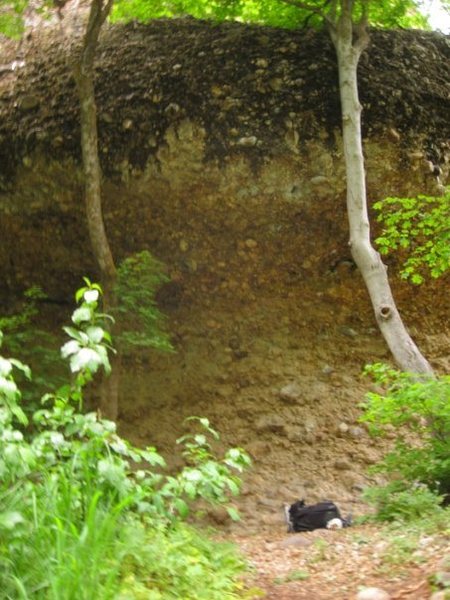 does anybody have information about this route just outside (west) of box canyon ... near a fire pit maybe 12b ?