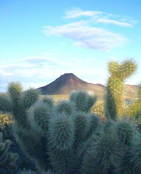 Frolicking in the Mojave Desert; never a dull moment.<br>
<br>
Taken Feb./09