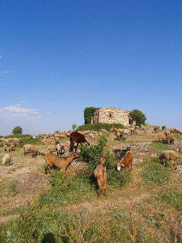 Ruins above La Mussara refugio and camping. 